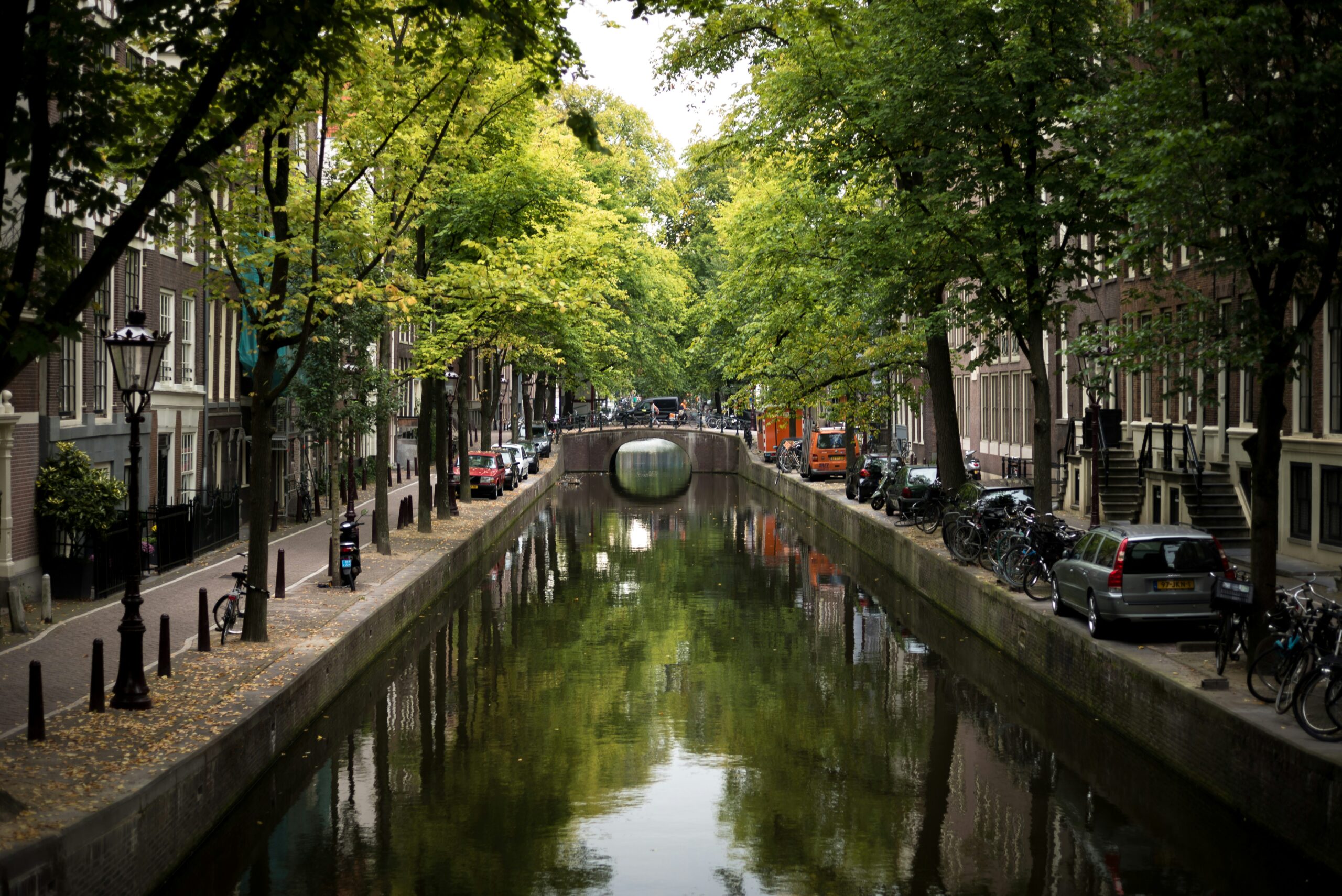 wholesale energy news netherlands