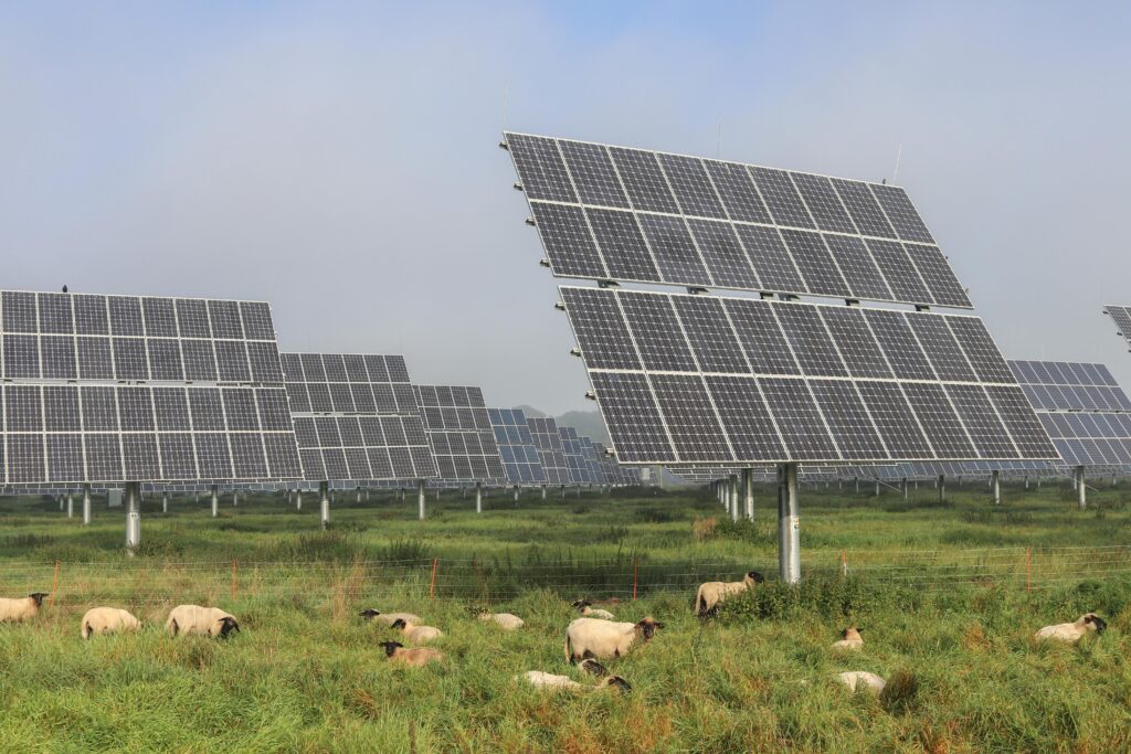 renewable solar panel farm